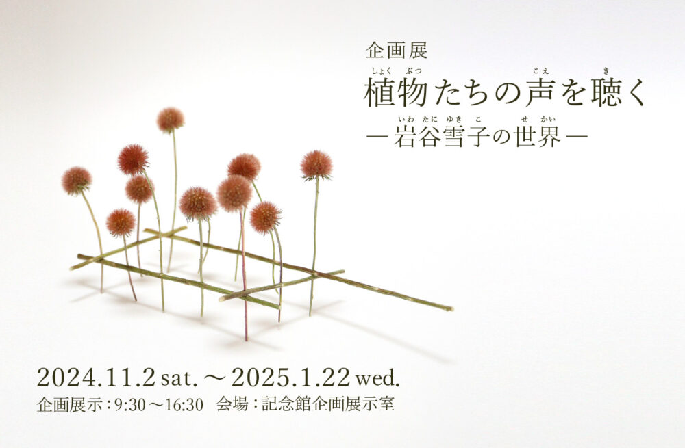 企画展】「植物たちの声を聴く-岩谷雪子の世界-」 | 練馬区立牧野記念庭園